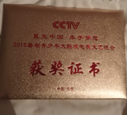 CCTV星光中国追梦春晚获奖证书样本